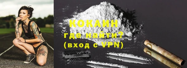 дживик Верхний Тагил
