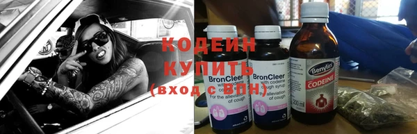 дживик Верхний Тагил