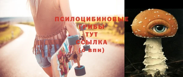 дживик Верхний Тагил