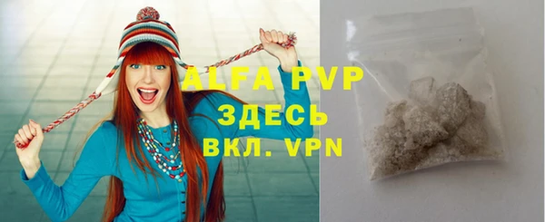 дживик Верхний Тагил