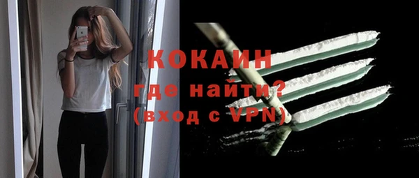 мет Бородино