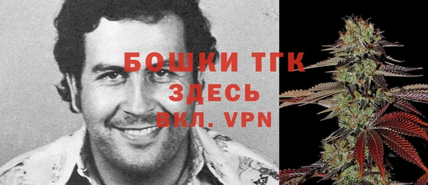 дживик Верхний Тагил