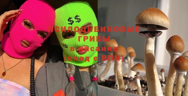 СК Верея