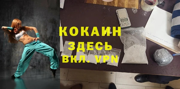 мет Бородино