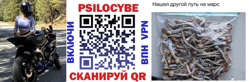 Псилоцибиновые грибы прущие грибы  кракен зеркало  Видное  где купить наркоту 