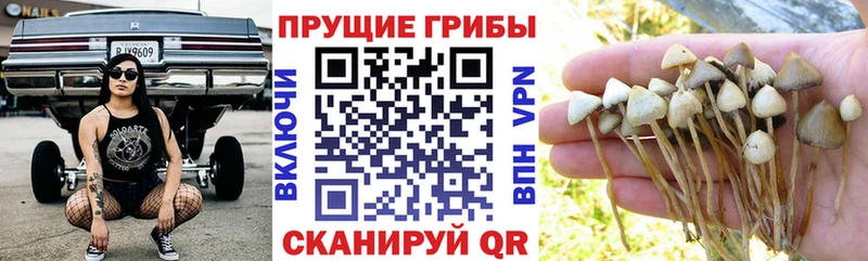 Галлюциногенные грибы мицелий Видное