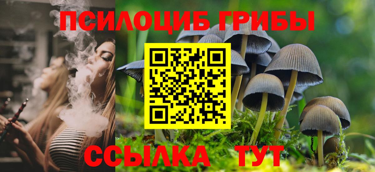 Видное  Псилоцибиновые грибы GOLDEN TEACHER  Вход с VPN 